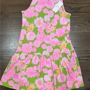 Lilly Pulitzer Dixi Dress in Multi: Seaside Garden!